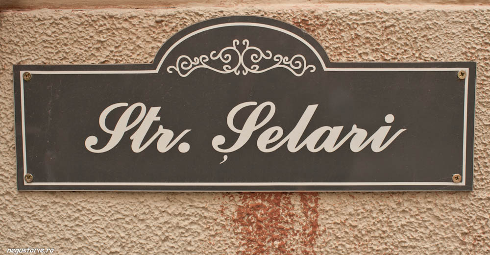 Selari y
