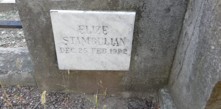 Elize Stambulian